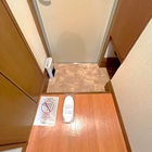 [ϻڥҥ륺]ޥ󥹥꡼22A21K20ʿ(1)ʪ